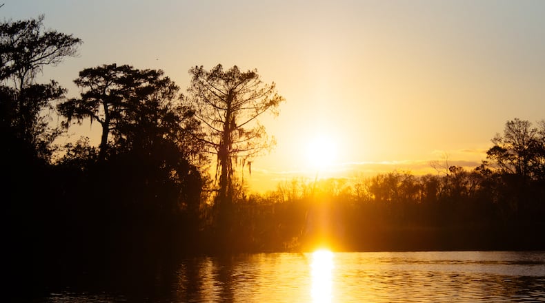 Hammersmith Creek alongside Altama Plantation