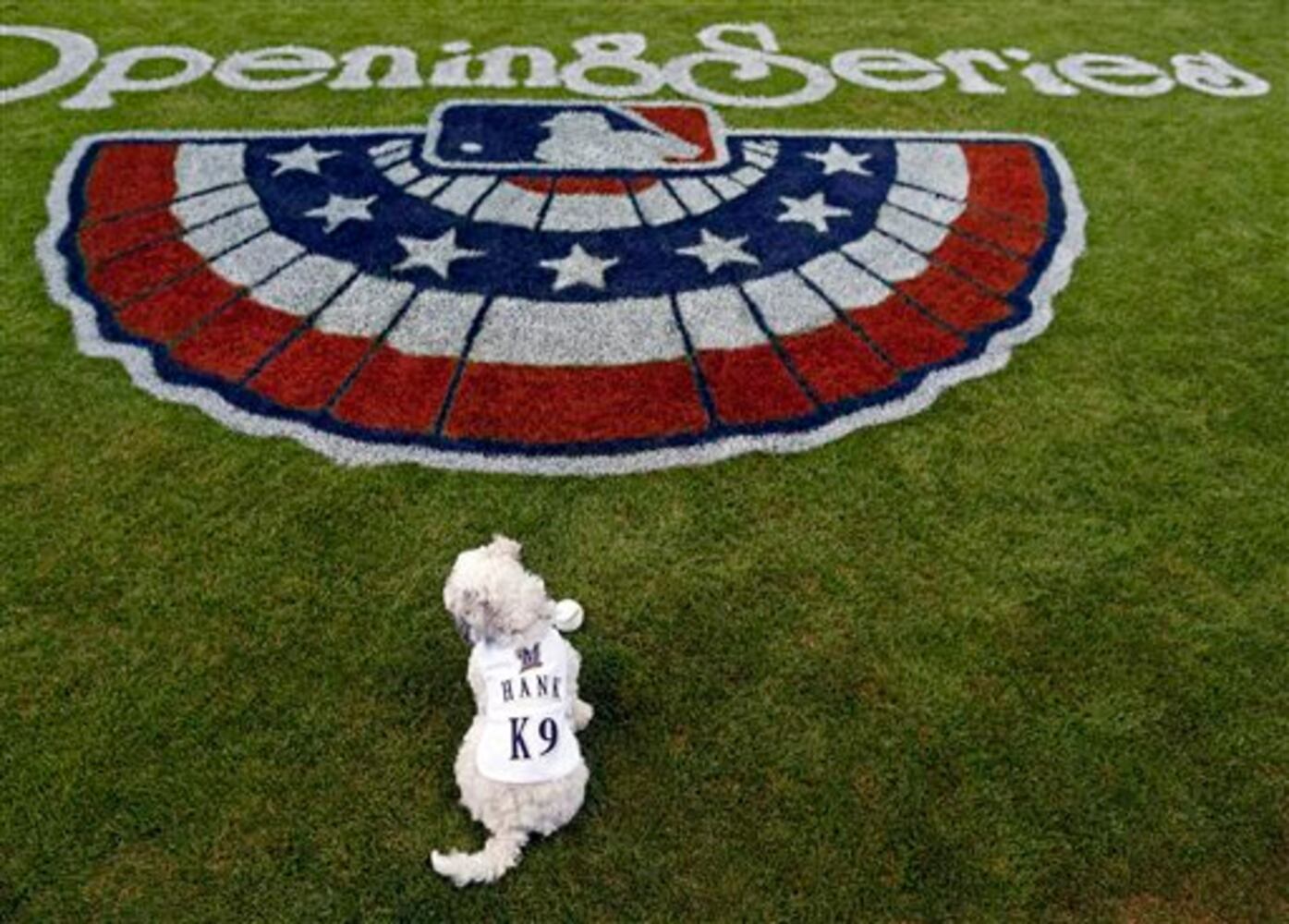 Opening Day 2014