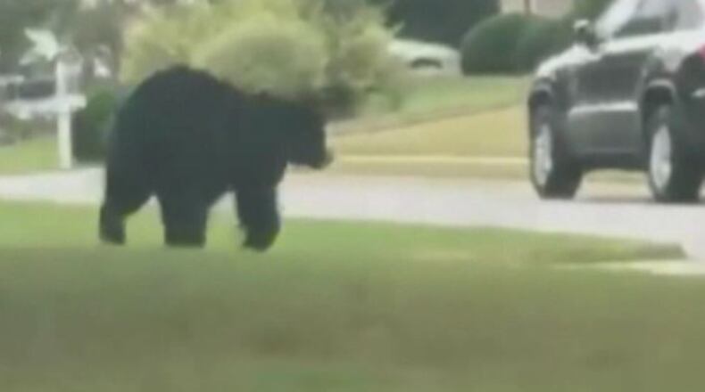 A bear is seen on video roaming through a subdivision in Cherokee County.