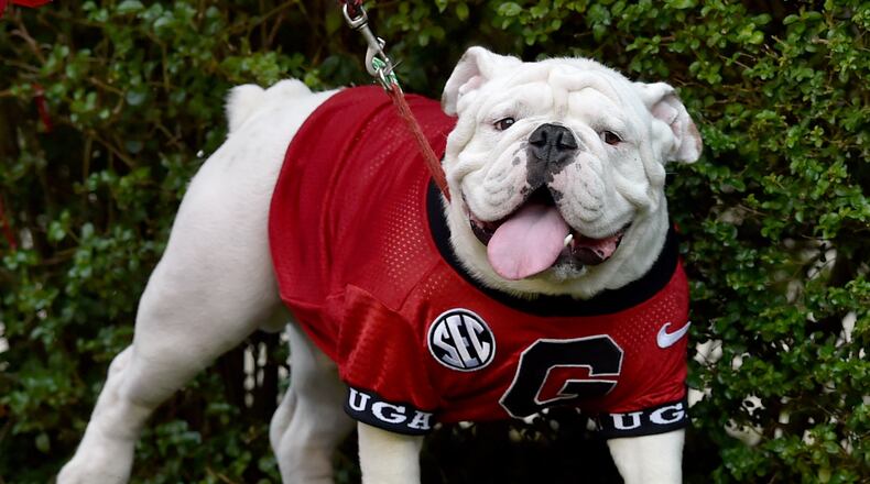 No explanation needed. Photo: BRANT SANDERLIN/BSANDERLIN@AJC.COM