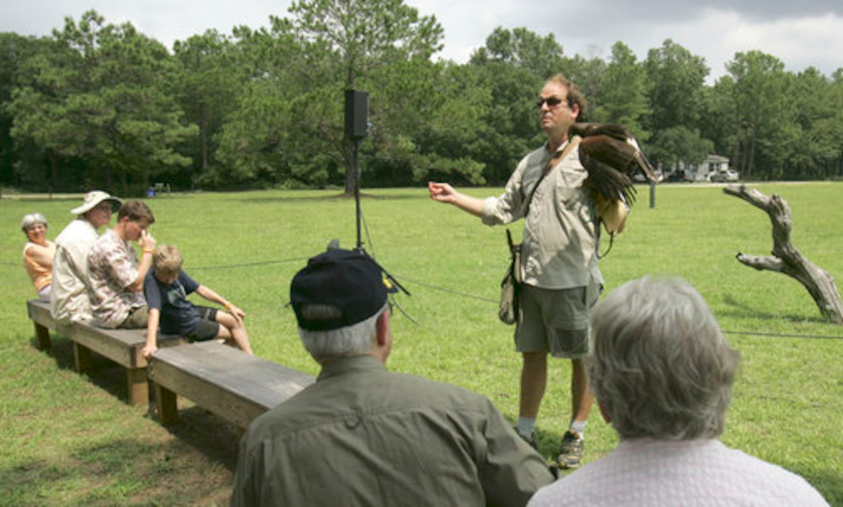 In South Carolina, injured birds of prey fly again