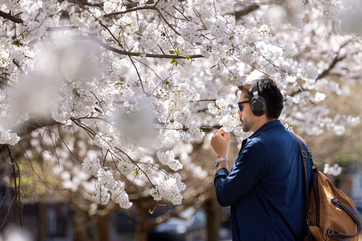 It’s spring. Expect more sun, heat and pollen but potentially less rain

