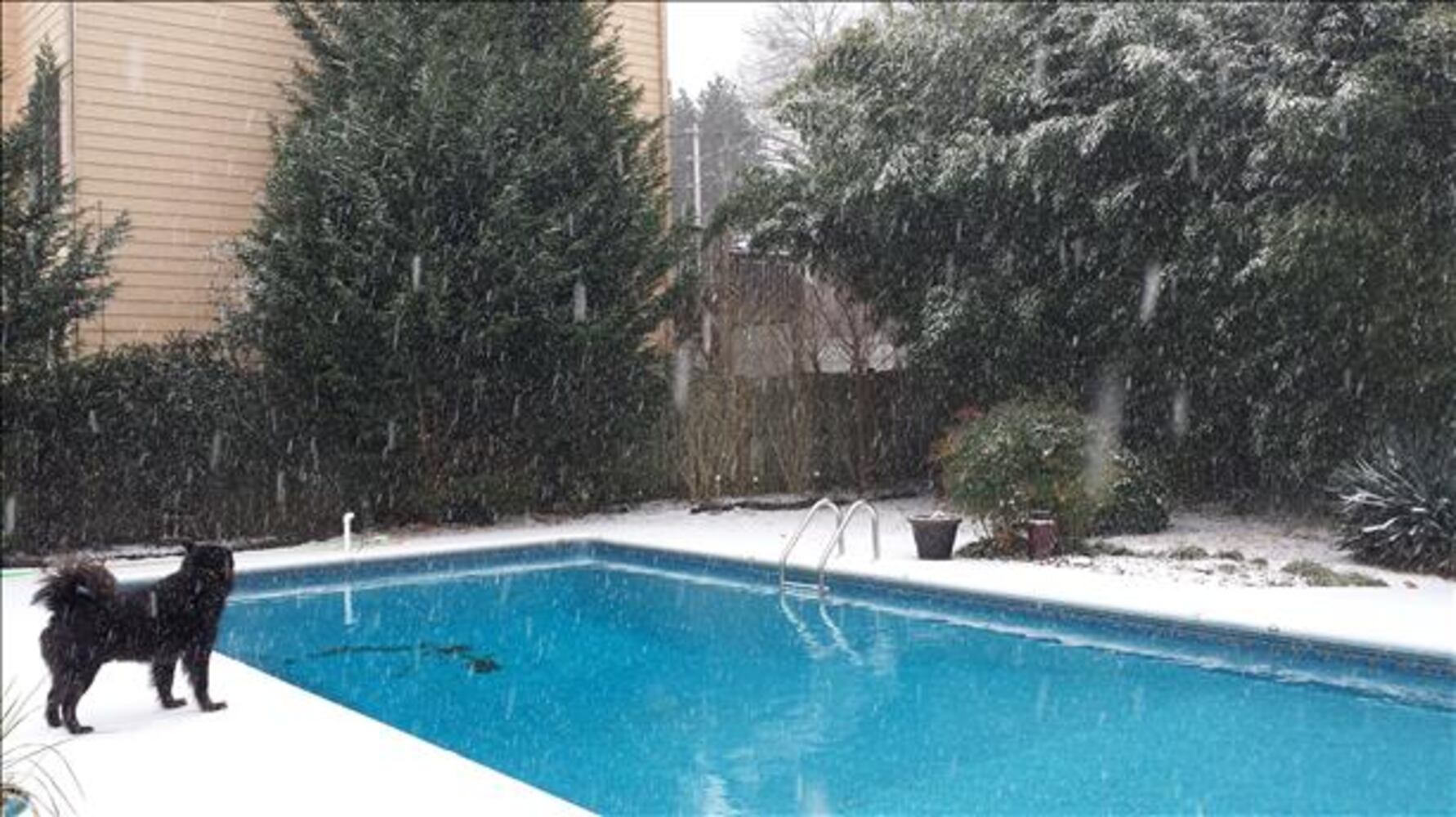 Snow in pool in NE Cobb Marietta