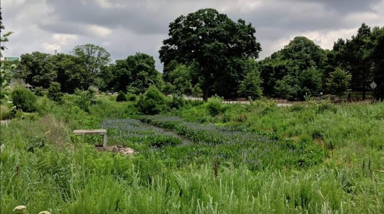 McDaniel Branch Wetlands in southwest Atlanta has been certified as an Atlanta Audubon Wildlife Sanctuary. CONTRIBUTED