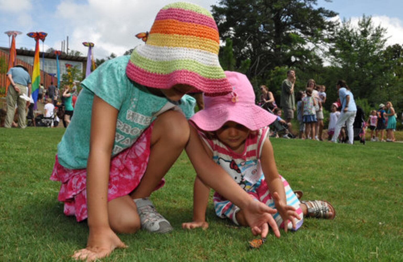 Flying Colors Butterfly Festival