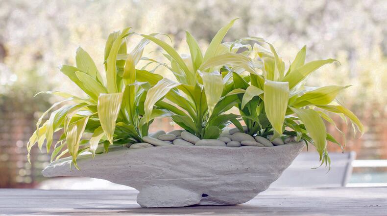 Inspired by the Georgia coast, the founders of The Vine Garden Market on St. Simons Island partnered with a local artist to craft a sculptural representation of an oyster shell. Contributed by Lindsay Stewart Photography
