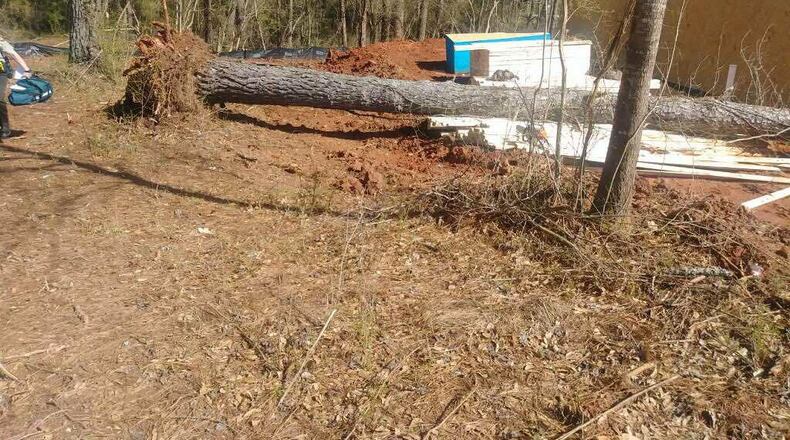 The Walton County Sheriff’s Office said strong winds caused a tree to fall and hit a person near Thoroughbred Trail.