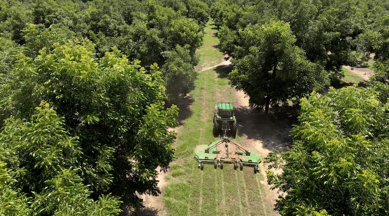 A Georgia pecan farm (Hyosub Shin / Hyosub.Shin@ajc.com)