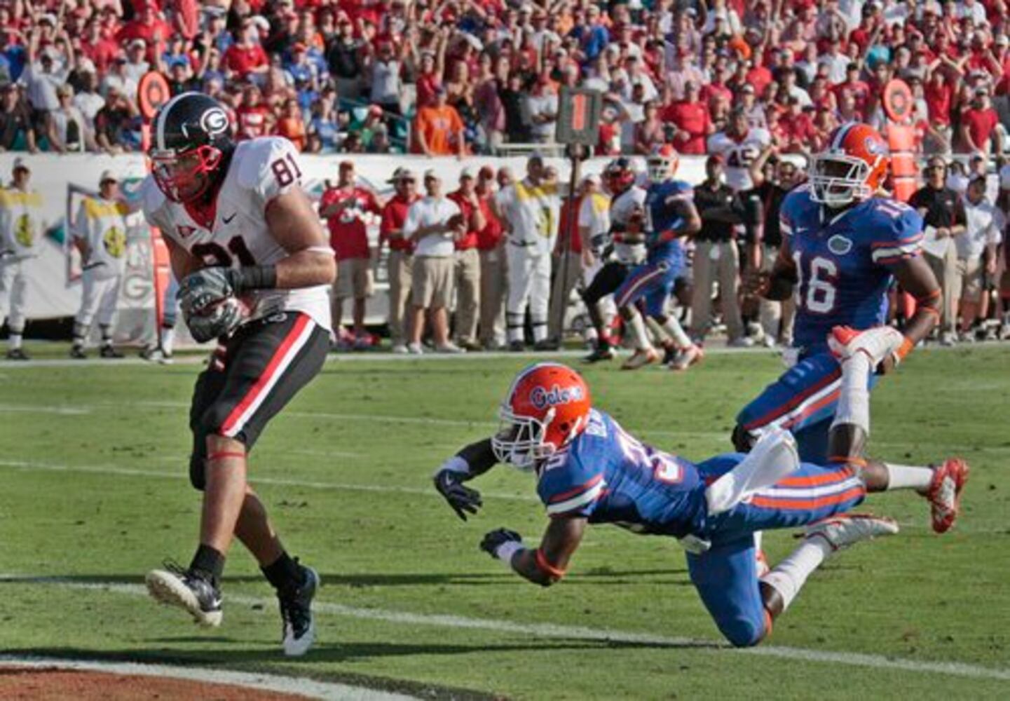 College football photos: Georgia vs. Florida