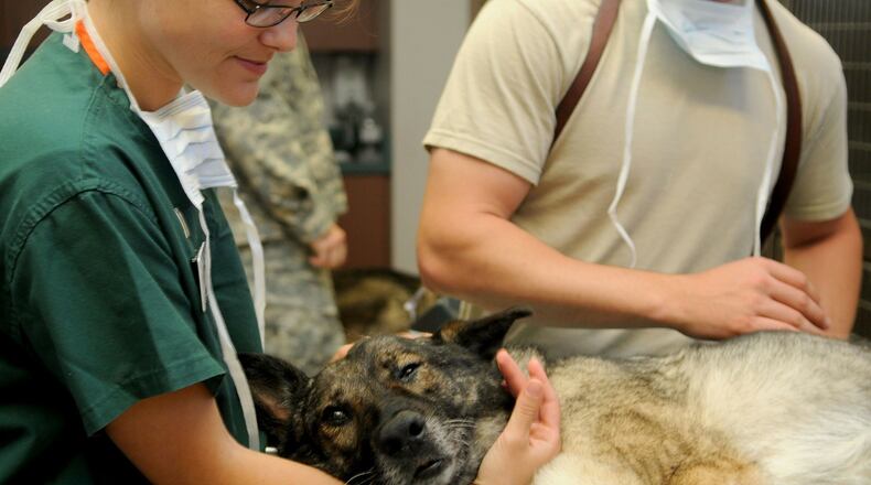 The Alpharetta City Council recently approved plans for an animal hospital in a 2,600-square-foot suite in the Windward Market Forest shopping center. (Courtesy Pixabay)