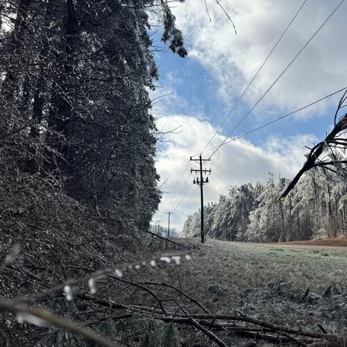 A tree limb dangles from a power line near Lexington, Miss., Tuesday, Jan. 27, 2026. (AP Photo/Sophie Bates)