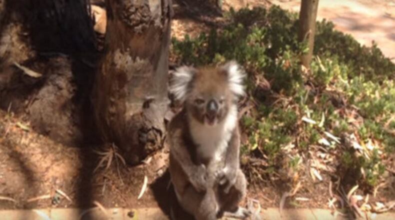 YouTube / Alicia Alexander