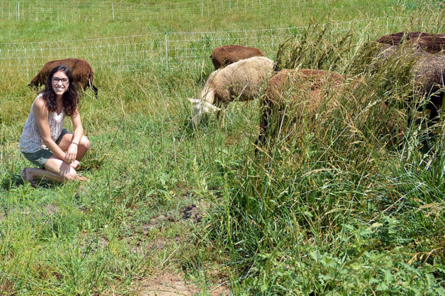 Taking a tour of Many Fold Farm