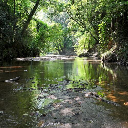 The South River is seen near the South River Water Reclamation Center on Wednesday, July 1, 2026, in Atlanta. (Hyosub Shin/AJC)