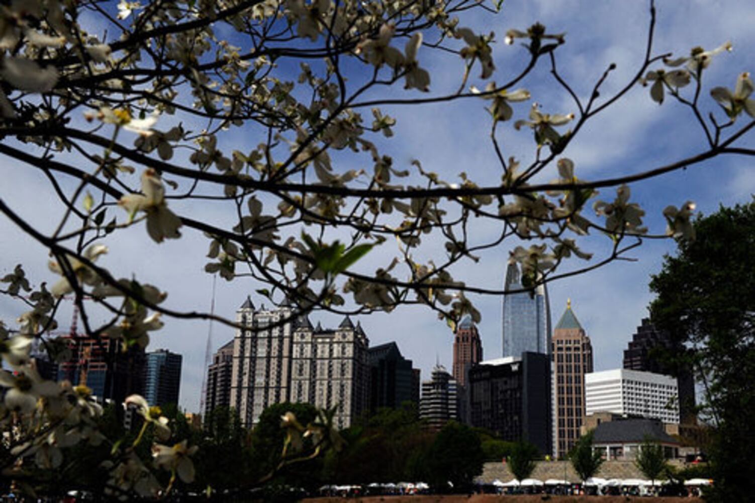 Dogwood Festival returns to Piedmont Park