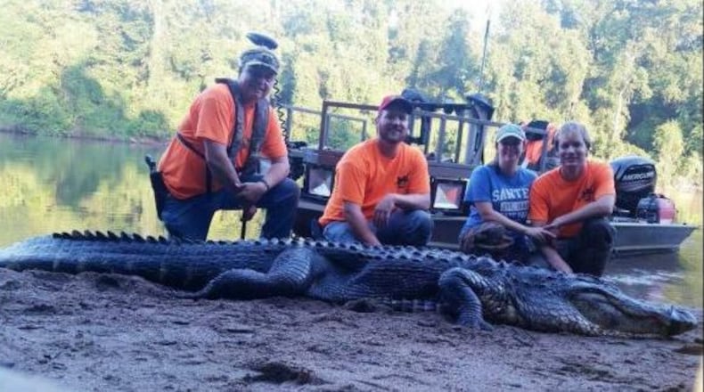 Trey Lord (far right) and his wife, Magon, teamed up with hunting guide Michael Evans (left) and Chris Farris last weekend to bring home this 11-foot, seven-inch gator taken in the Savannah River. Lord was a lucky recipient of a lottery-drawn Georgia gator tag this season. The Lords are also expecting their first child in December. (Credit: The Augusta Chronicle)