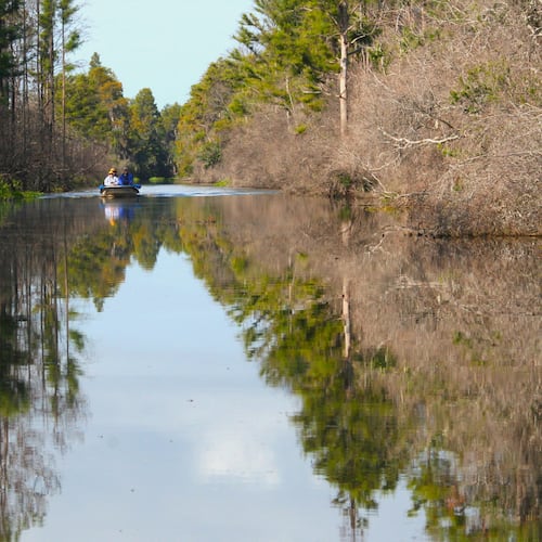 The tannin-stained water of the Okefenokee is dark and reflective because of decaying vegetation. The swamp, on the border of Georgia and Florida, with most of its 700 square miles in Georgia, is the largest blackwater swamp in the U.S. (Mary Ann Anderson/TNS)