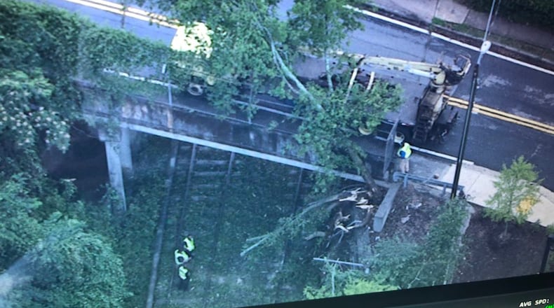 A tree fell onto MARTA's Gold line near the Lenox station Friday afternoon.