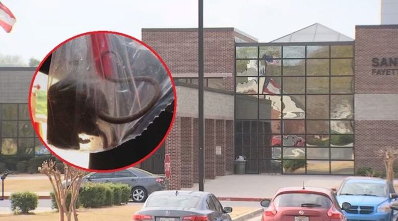 Students at a Fayette County high school said they have been dealing with a rat infestation for more than a month. (Credit: Channel 2 Action News)
