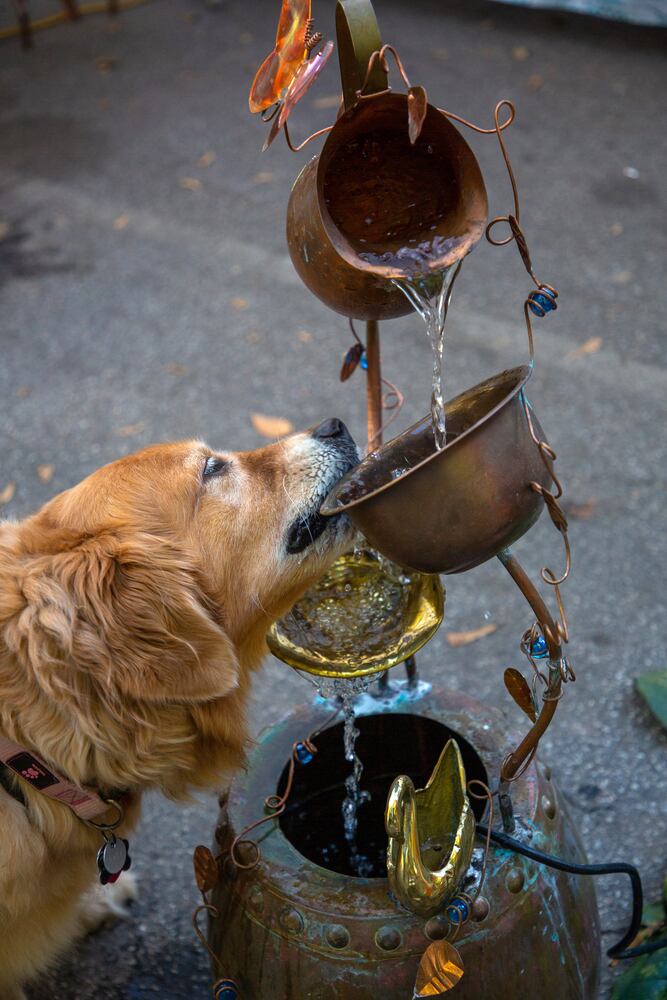Chastain Park Fall Arts Festival