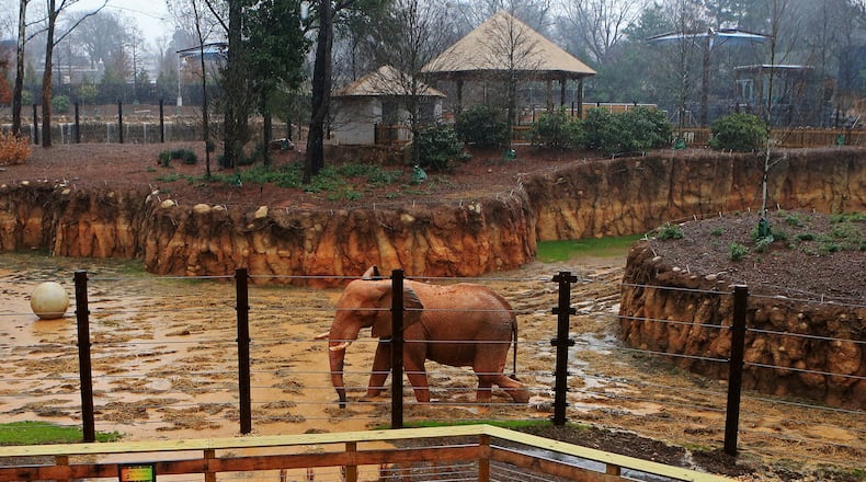 Zoo Atlanta announced Saturday afternoon that it will close to the public through the end of March amid the coronavirus pandemic.