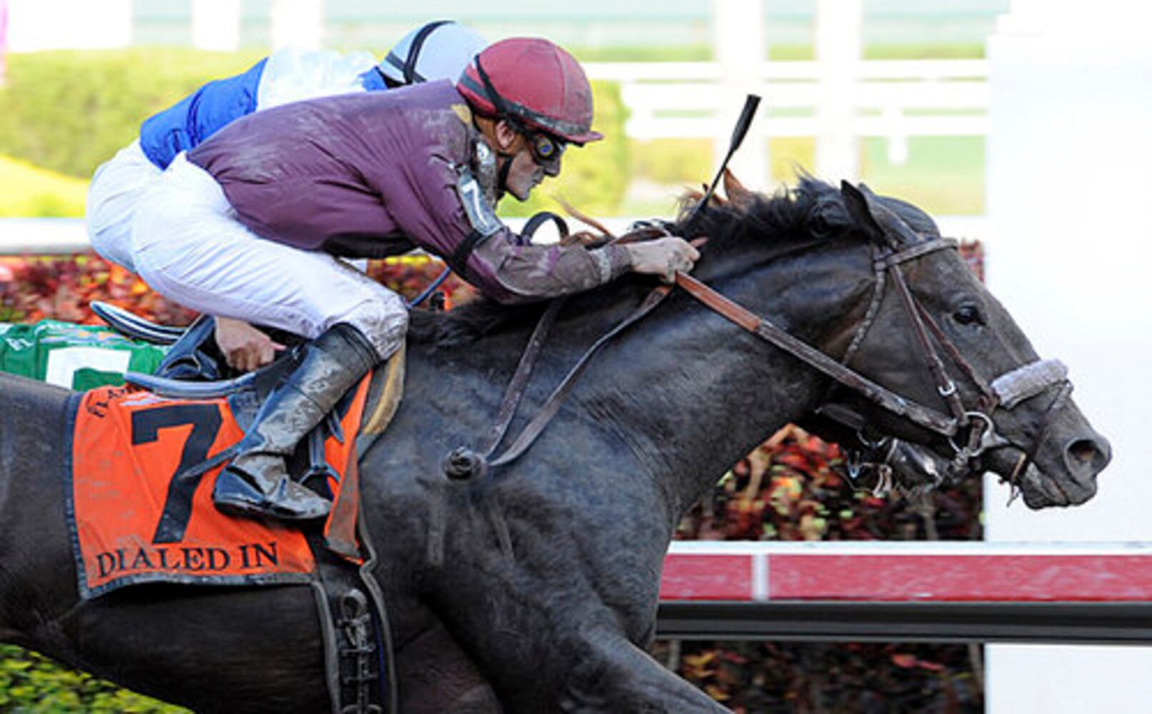 Kentucky Derby field 2011