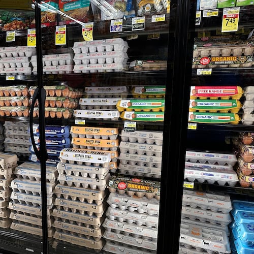 FILE - Eggs are displayed in refrigerators at a grocery store in Glenview, Ill., Feb. 10, 2025. (AP Photo/Nam Y. Huh, File)