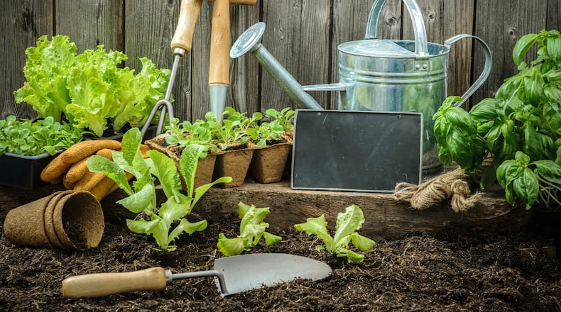 Gardening on a tight budget is actually much less of a hurdle than you may think. There are ingenious ways to curtail any budgeting challenges that may be limiting your field of vision. (Dreamstime)