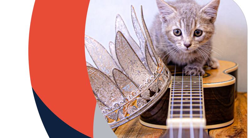 Gwinnett Animal Shelter pets are rocking the house during “Shelter Pets Rock” 11 a.m. to 4 p.m. Saturday, June 12 at the Bill Atkinson Animal Welfare Center, 884 Winder Highway in Lawrenceville. (Courtesy Gwinnett Animal Welfare and Enforcement)