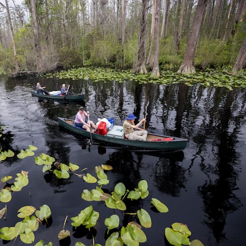 The Georgia Department of Natural Resources recently announced Stephen C. Foster State Park will be renamed Okefenokee State Park. (Stephen B. Morton/AP 2022)