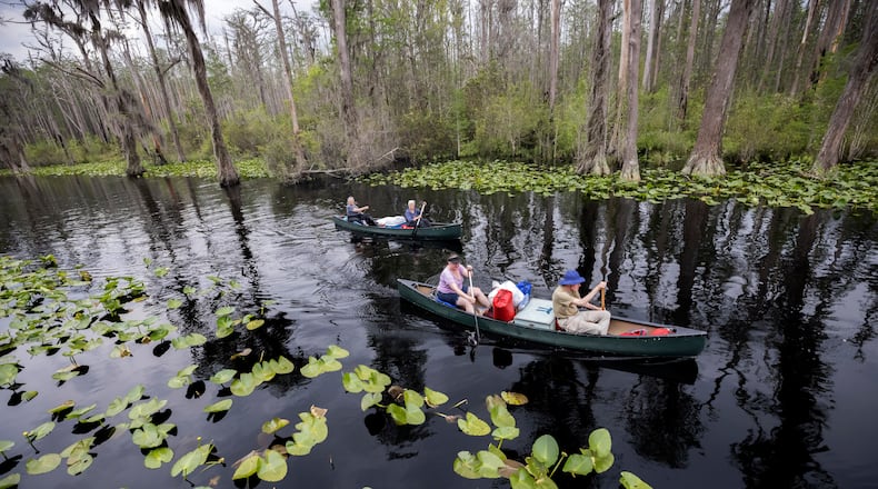 The Georgia Department of Natural Resources recently announced Stephen C. Foster State Park will be renamed Okefenokee State Park. (Stephen B. Morton/AP 2022)