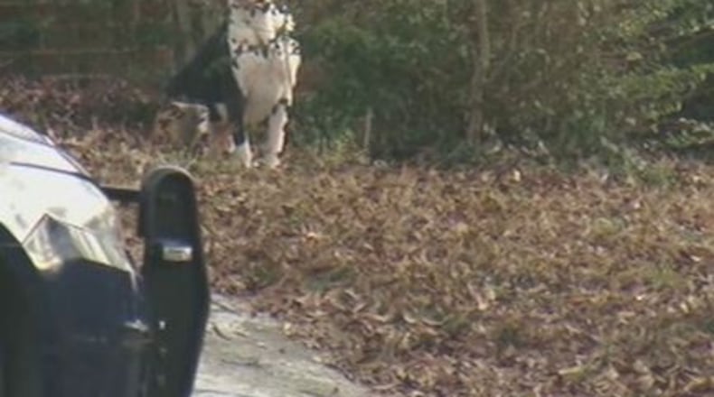 County and municipal government officials have long looked for a solution to vicious dog attacks.