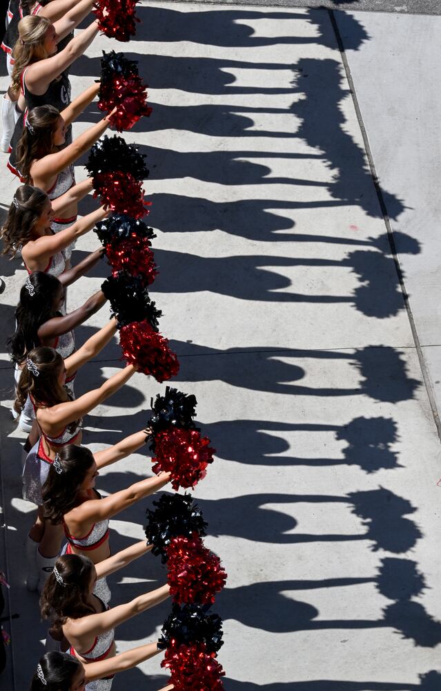 Georgia vs Mississippi State photo