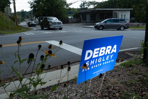 A campaign sign for state Senate candidate Debra Shigley in Canton.