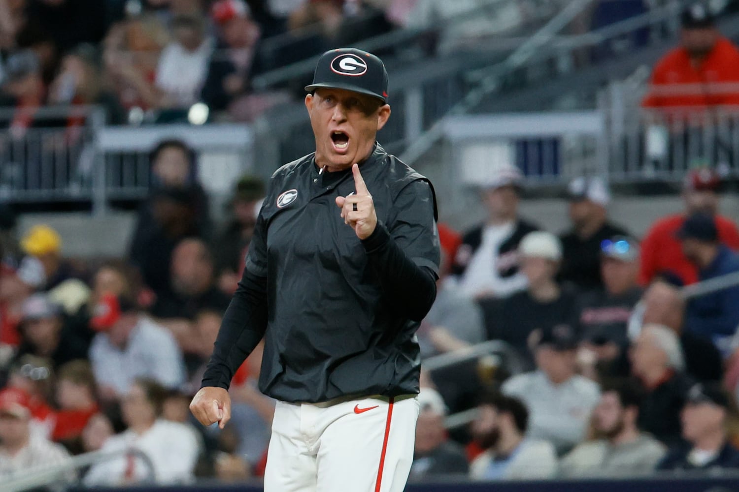 UGA Bulldogs vs Ga Tech Yellow Jackets