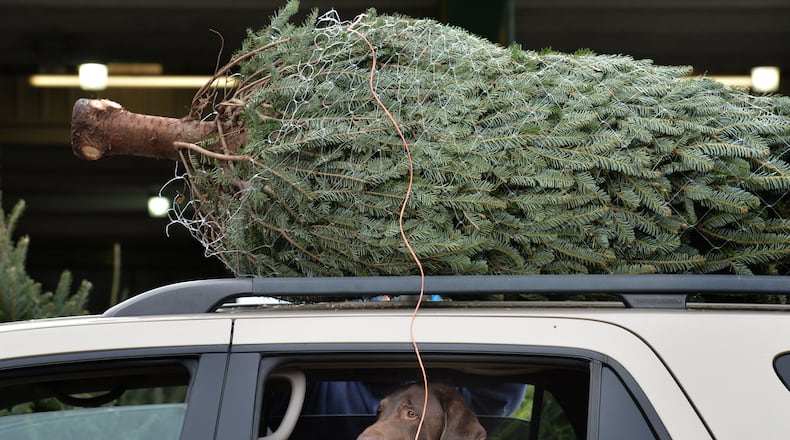 AAA warns that poorly secured Christmas trees can become deadly projectiles, endangering fellow motorists. HYOSUB SHIN / HSHIN@AJC.COM