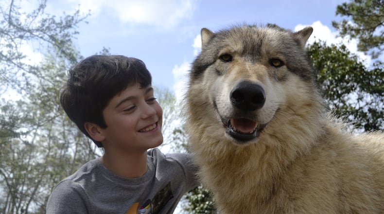 Seacrest Wolf Preserve