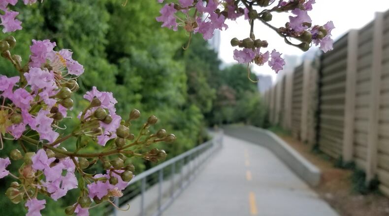 Sandy Springs will apply for grant funding to extend the Path400 corridor 1.8 miles north from Loridans Drive to Johnson Ferry Road. (Courtesy Path400)