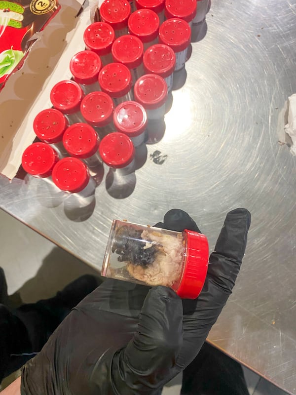 This photo dated June 18, 2025 and provided by the main customs office Cologne, shows plastic containers holding young tarantulas that had been hidden in chocolate sponge-cake boxes shipped to Cologne Bonn airport, western Germany. (Haupzollamt Koeln via AP)