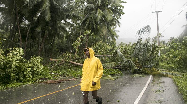Felled tress block a road in the aftermath of Hurricane Irma in Samana, Dominican Republic, Thursday, Sept. 7, 2017. Trees are likely to fall in Atlanta, too. (AP Photo/Tatiana Fernandez) AJC FILE PHOTO