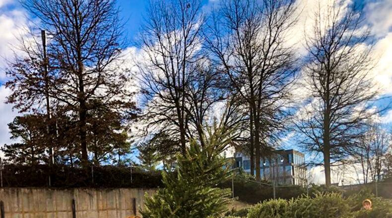 A CHaRM Holiday Cleanup Event will continue through Jan. 22 - except on Jan. 1.  (Courtesy of Keep Georgia Beautiful Foundation)