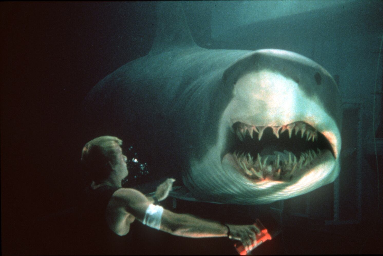 'Deep Blue Sea'