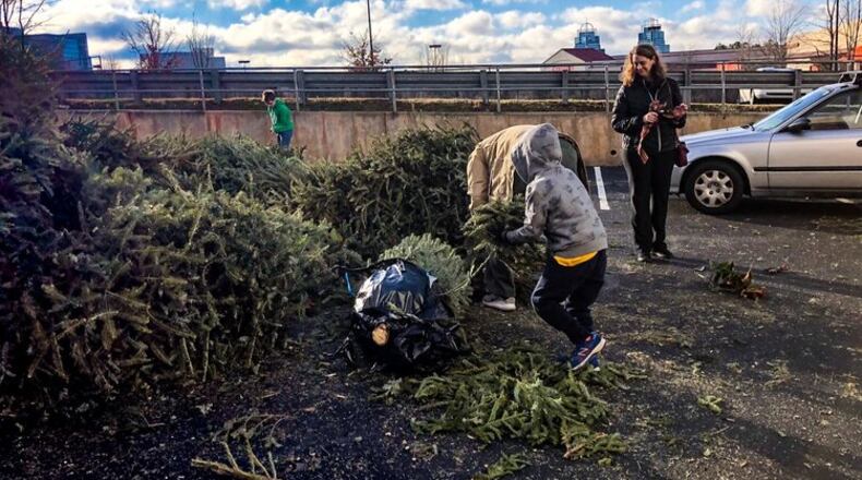 Plain Christmas trees can be brought to Olde Rope Mill Park, 690 Olde Rope Mill Park Road, Woodstock from 9 a.m. to 4 p.m. Jan. 8 to be fed into the chipper. Also, receive free tree seedlings, coffee and donuts. (Courtesy of Keep Georgia Beautiful Foundation)