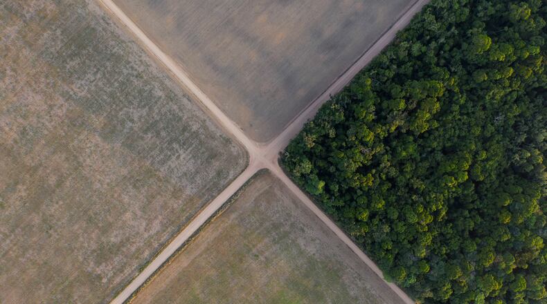 FILE - A section of Amazon rainforest stands next to soy fields in Belterra, Para state, Brazil, Nov. 30, 2019. (AP Photo/Leo Correa, File)