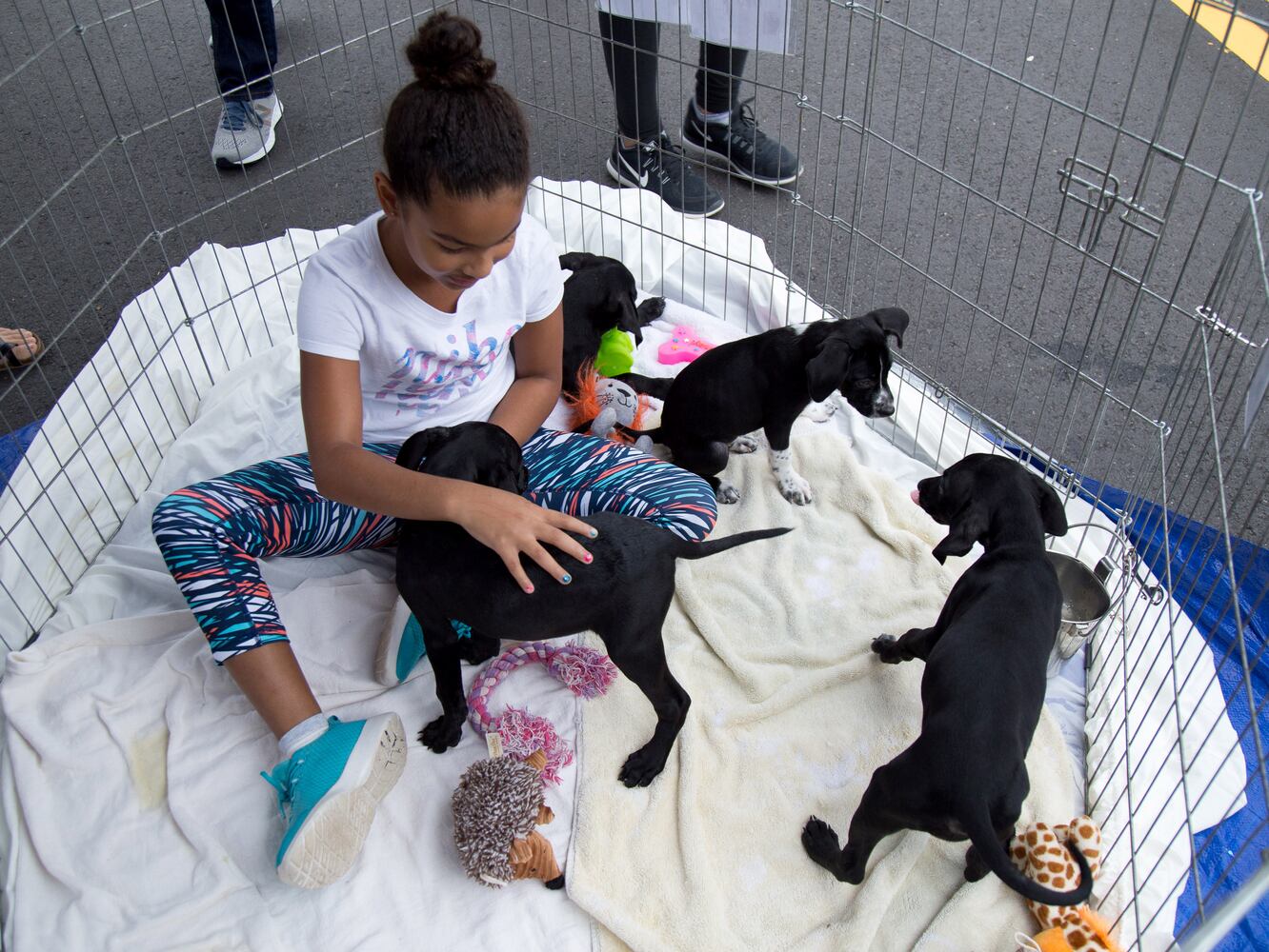 Photos: Woofstock brings pet party in Cobb