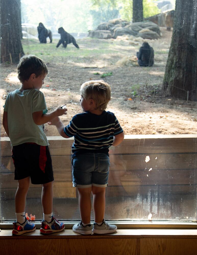 PHOTOS: 090819 zoo