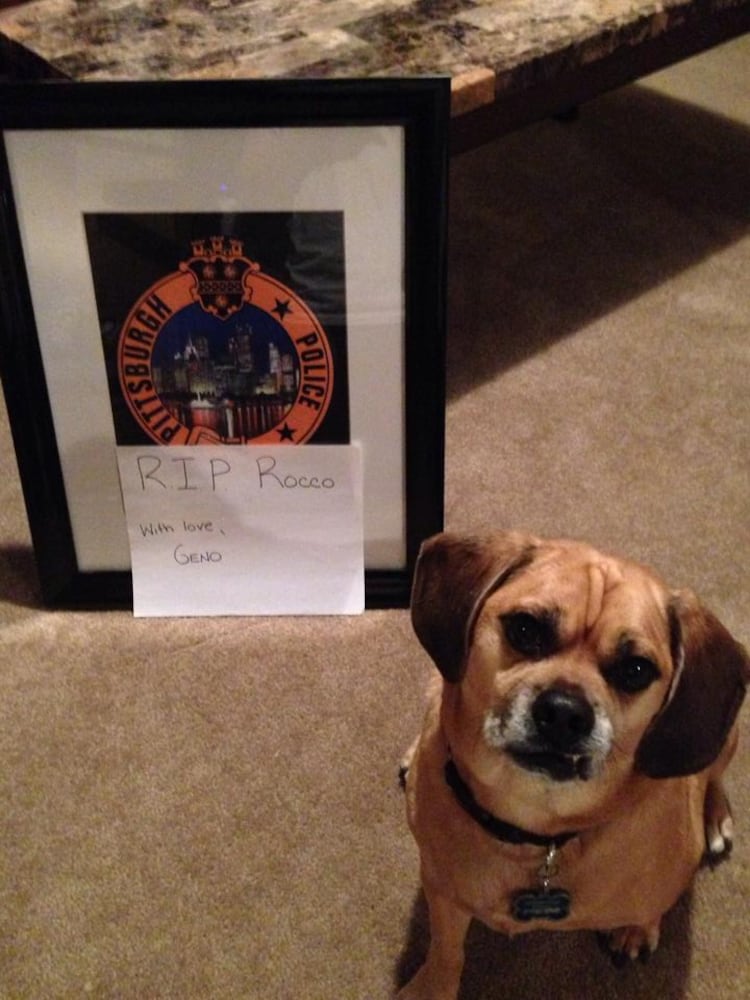 RIP Rocco