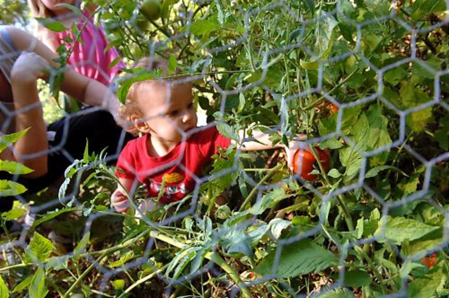 Mableton Community Garden at Nickajack Park