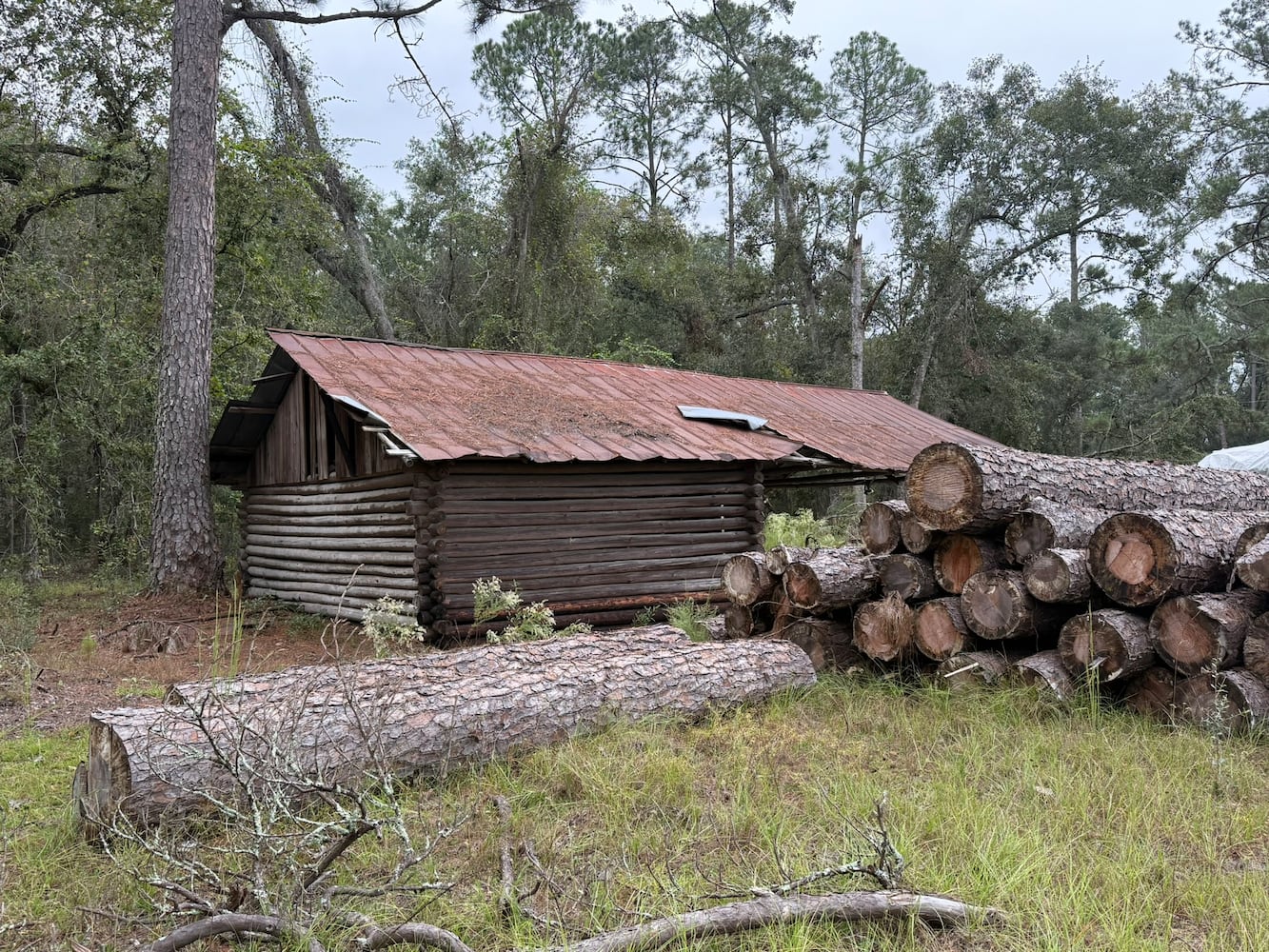 McCranie Turpentine Still