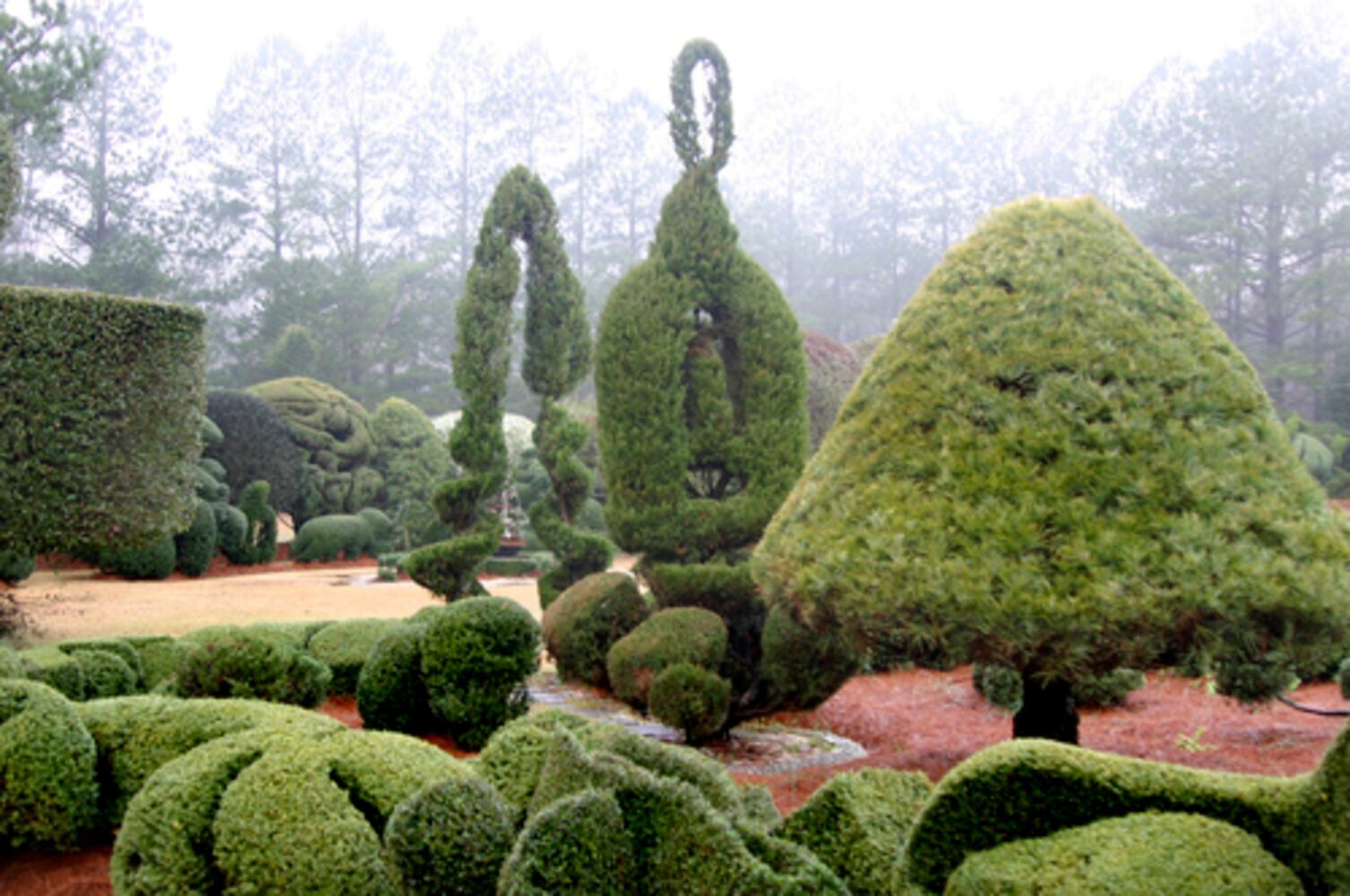 Pearl Fryar: A man and his topiary